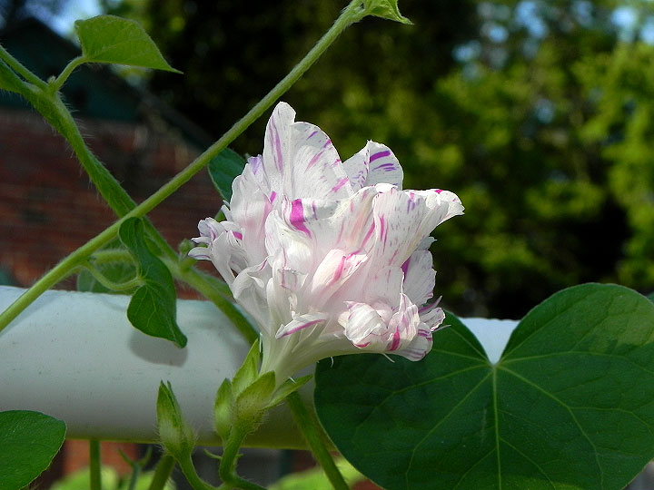 DSCN3406_02