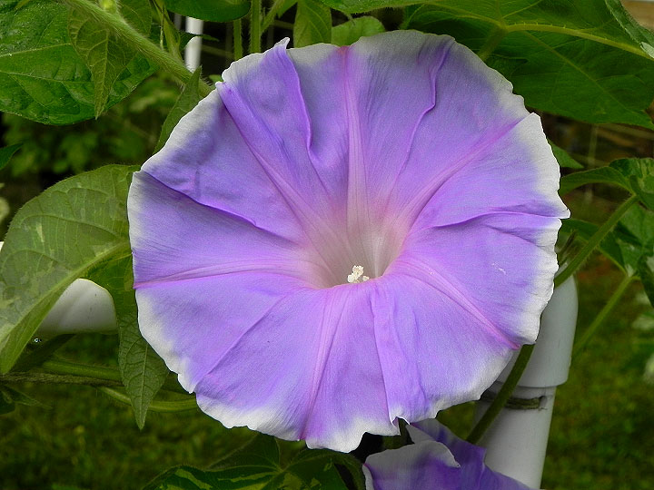 DSCN3437_01