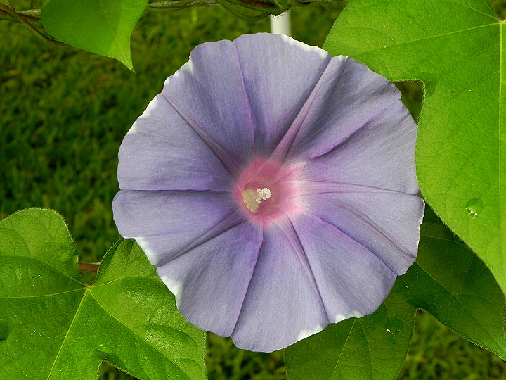 DSCN3455_01