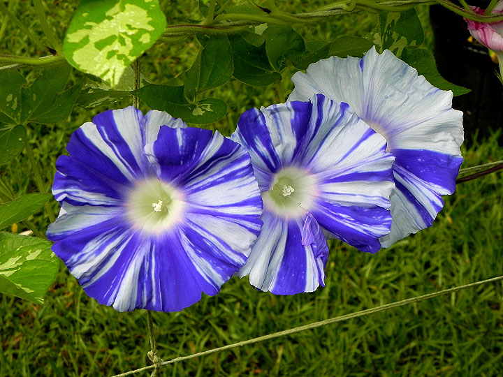 DSCN3470_01