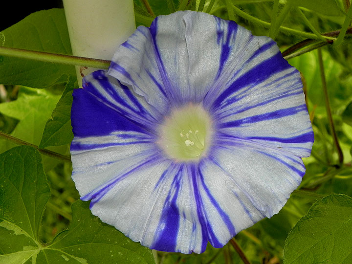 DSCN3473