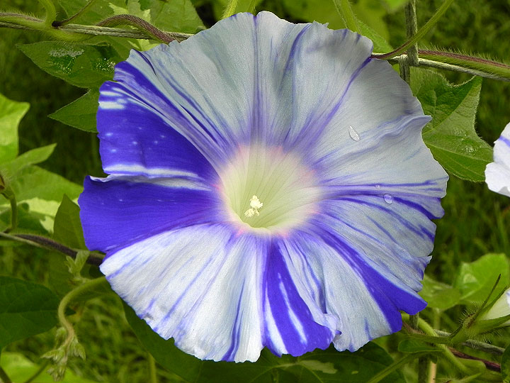 DSCN3475_01