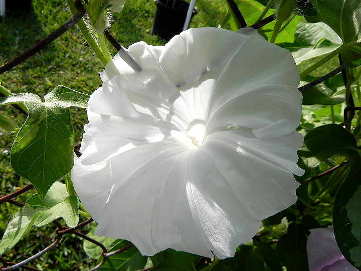 DSCN3510_01