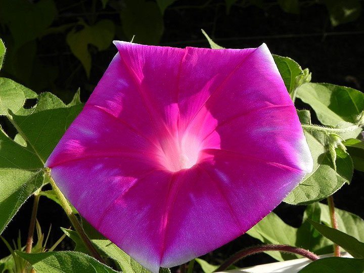 DSCN3617