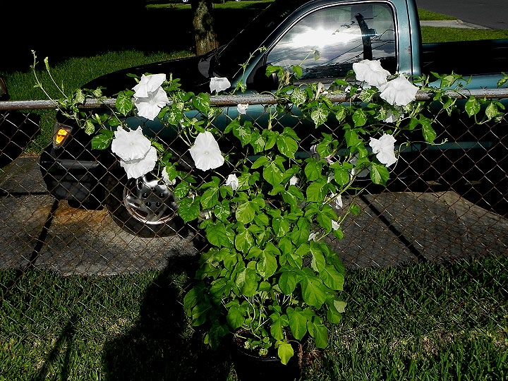 DSCN3650_01