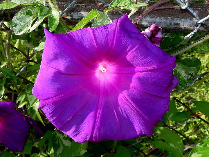 DSCN3651_01