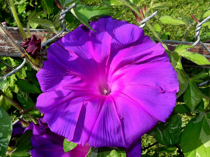 DSCN3652