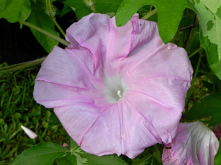 DSCN3713_01