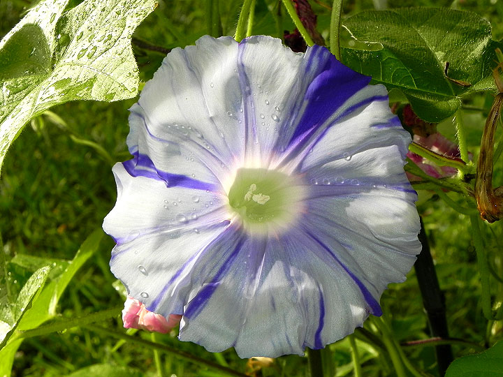 DSCN3727
