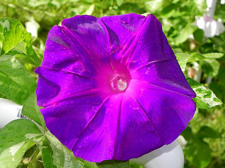 DSCN3733_01