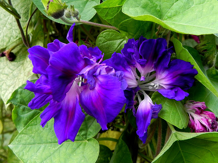 DSCN3740