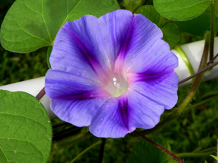 DSCN3744