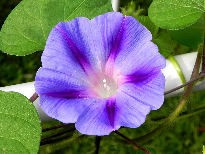 DSCN3745
