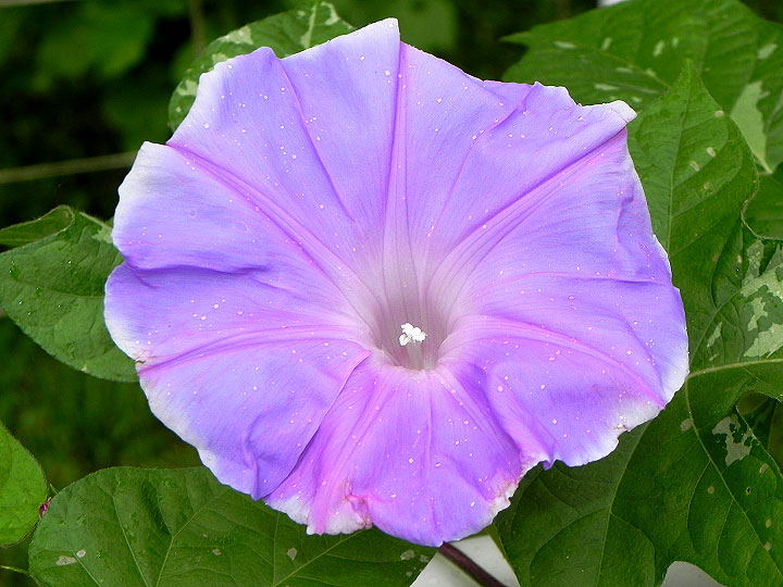 DSCN3802