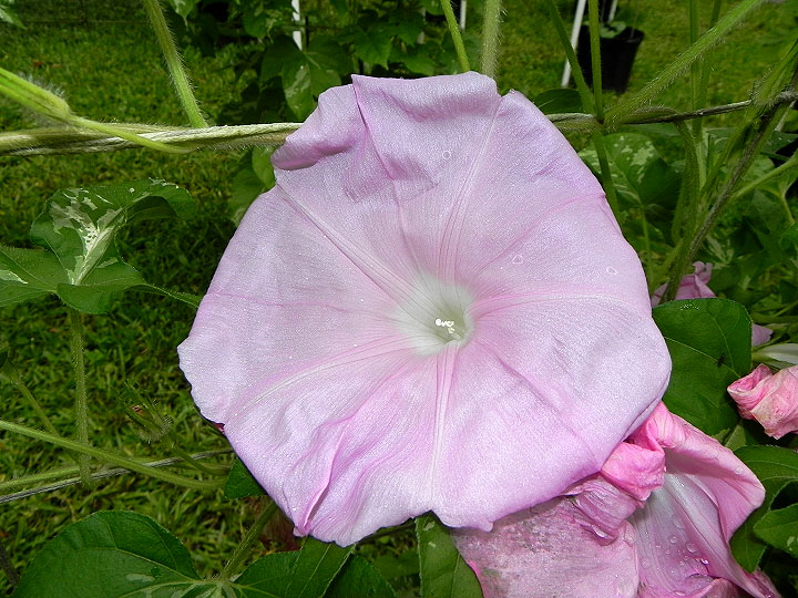 DSCN3813