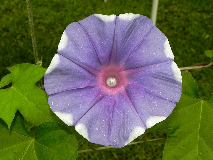 DSCN3817