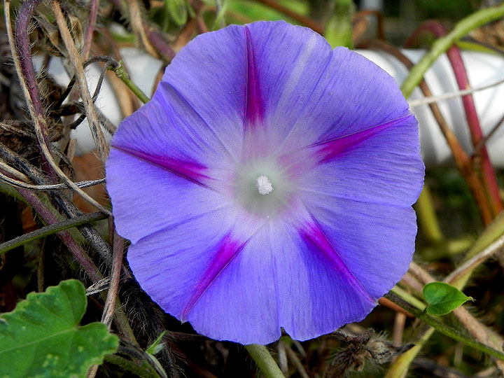 DSCN3826
