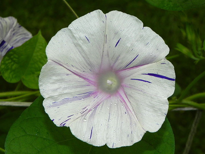 DSCN3846
