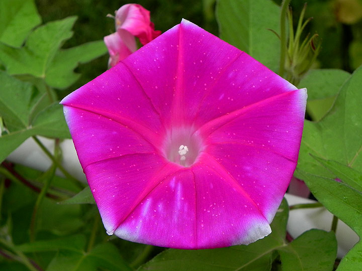 DSCN3855