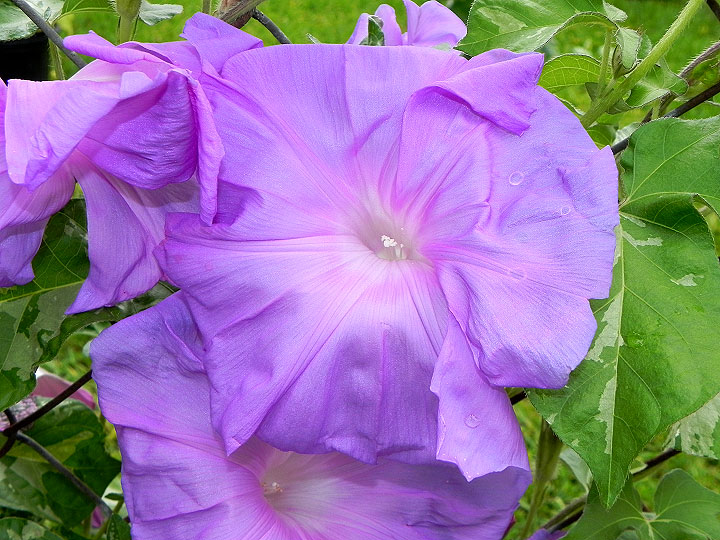 DSCN3891