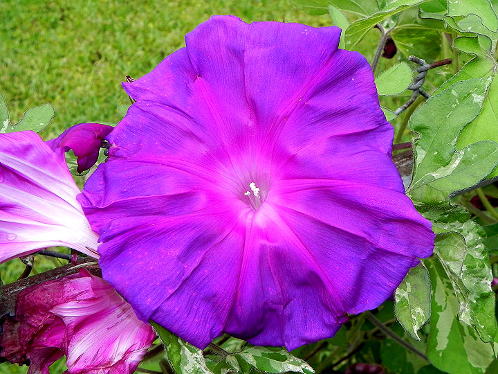 DSCN3897