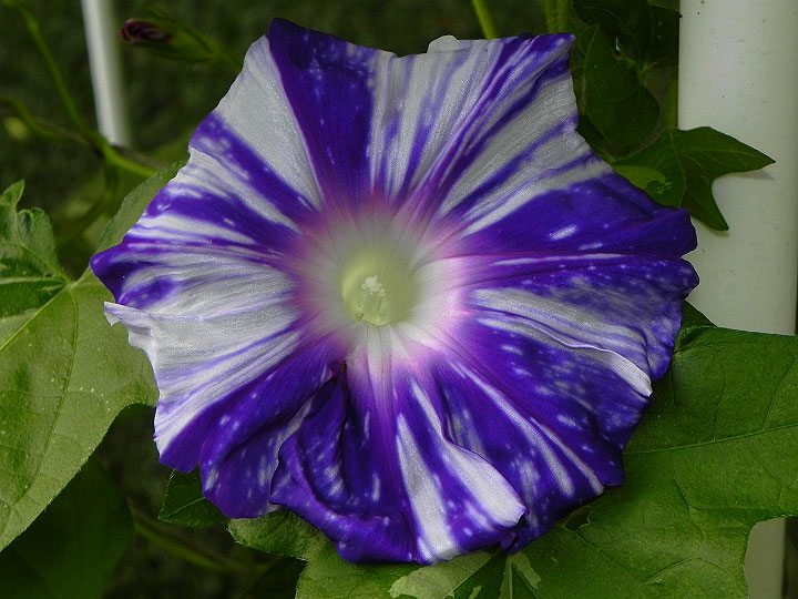 DSCN3934_01