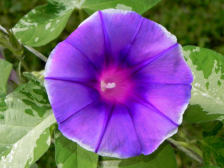 DSCN3940_01