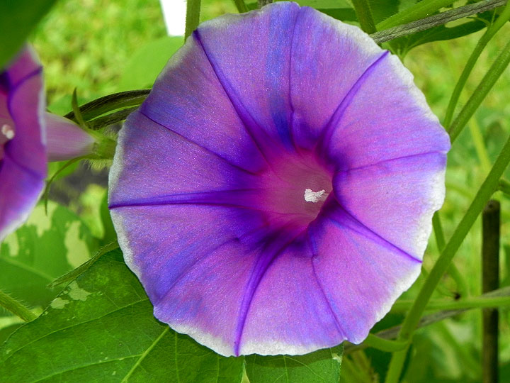DSCN3941