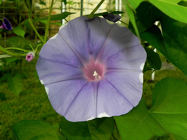 DSCN3955