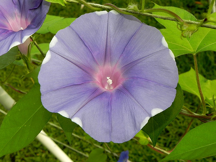 DSCN3956