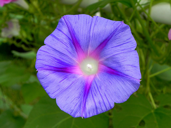 DSCN3959