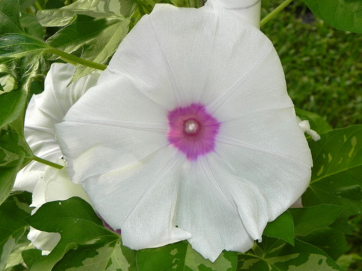 DSCN3967