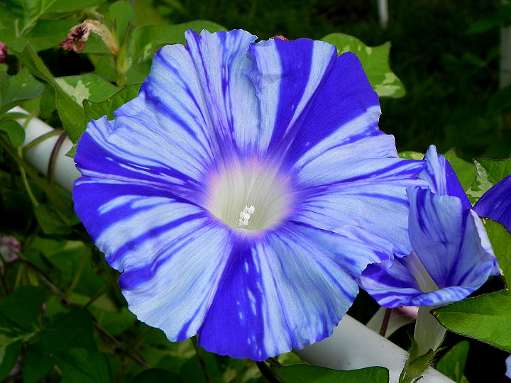 DSCN3976