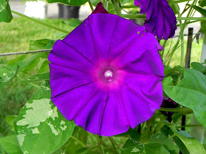 DSCN3980_01