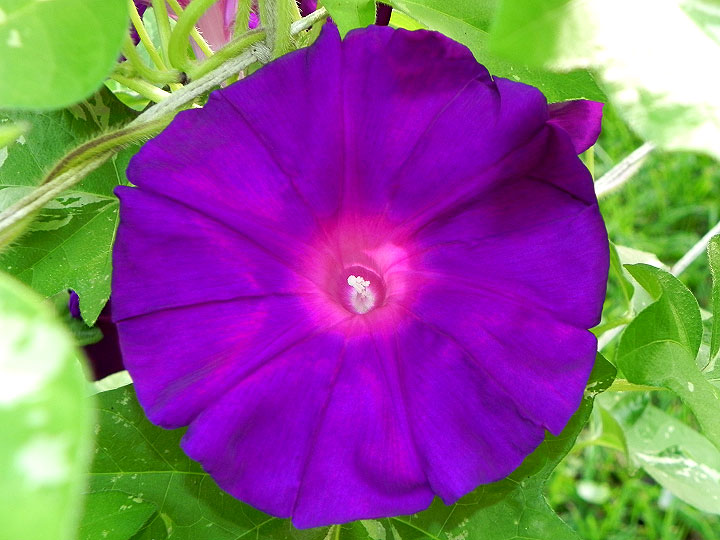 DSCN3981_01