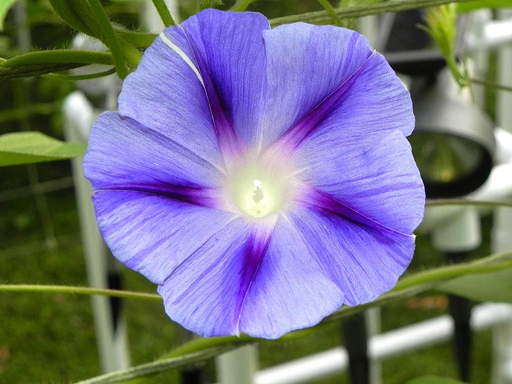 DSCN3983_01