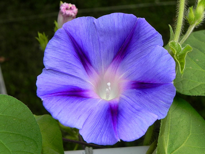 DSCN3984