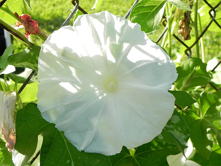 DSCN4014_01