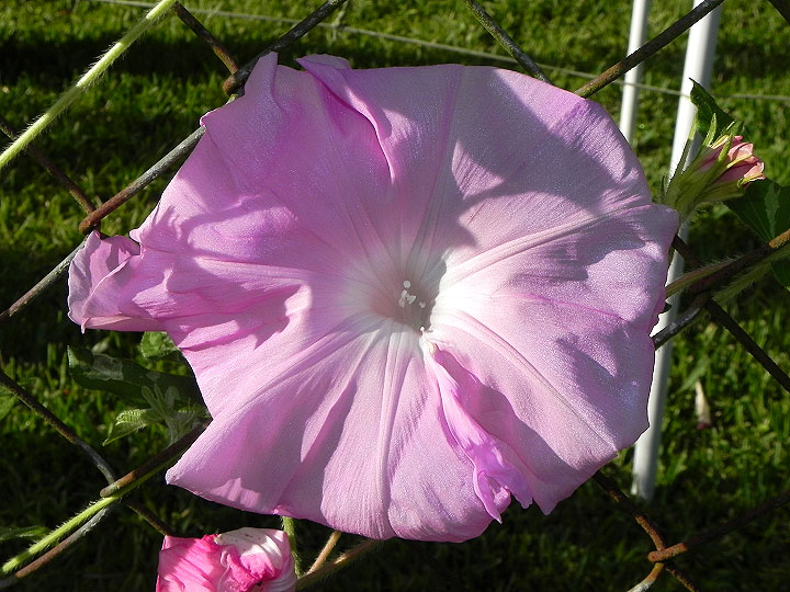 DSCN4019