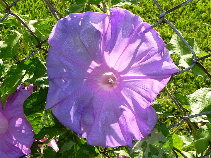 DSCN4045