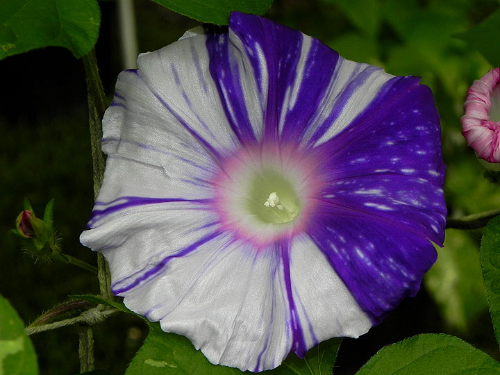 DSCN4059