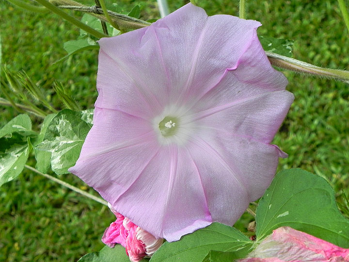 DSCN4181