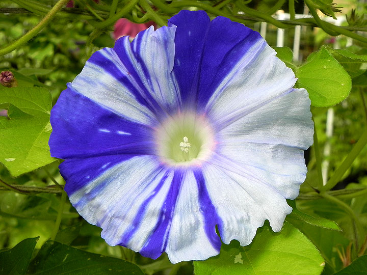 DSCN4197