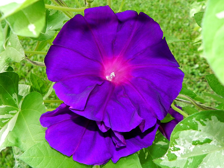 DSCN4202