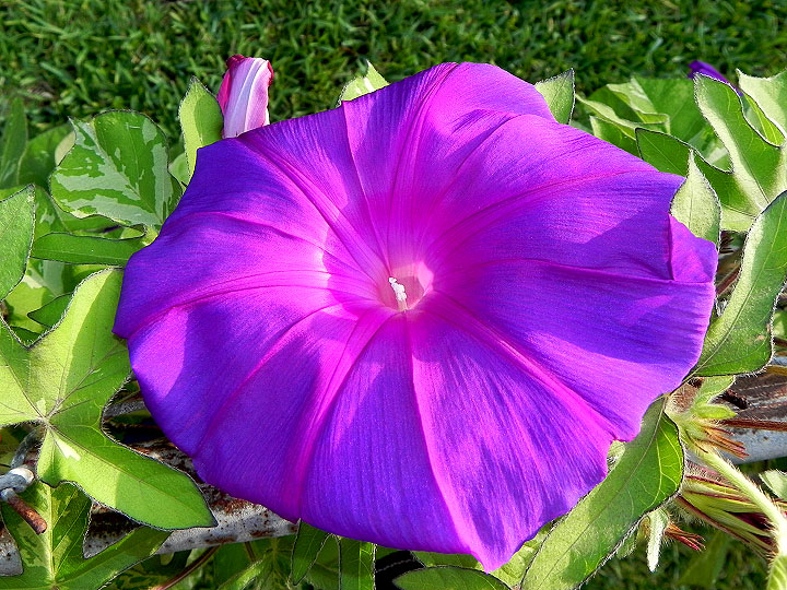 DSCN4229_01