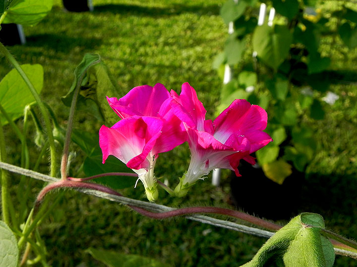 DSCN4235_01