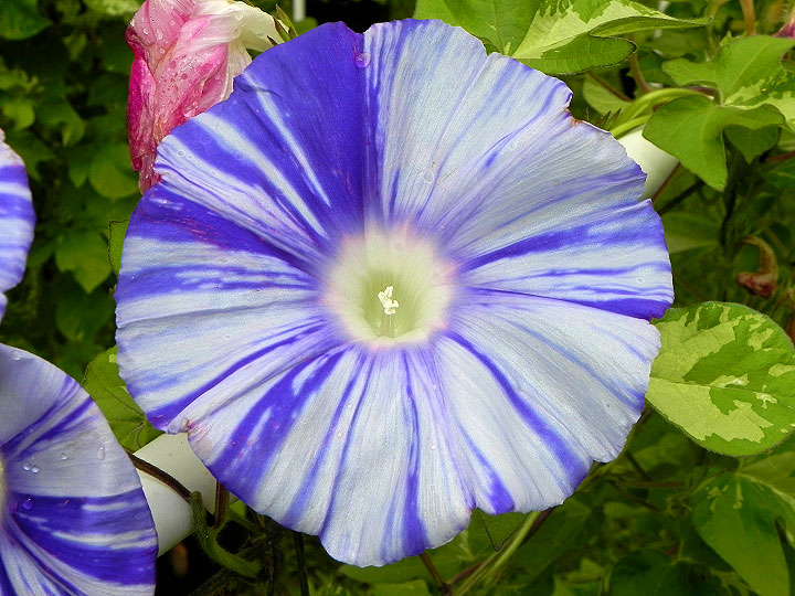 DSCN4398