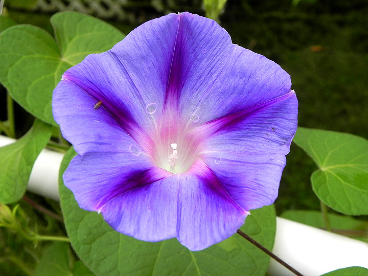 DSCN4402