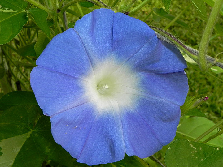 DSCN4459
