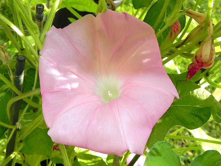 DSCN4473